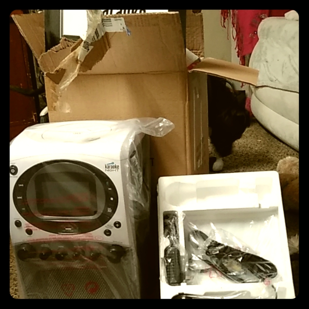 Karaoke night (karaoke machine)